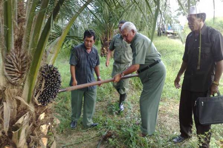 Kalimantan Timur Prospektif Agribisnis Perkebunan Kelapa Sawit