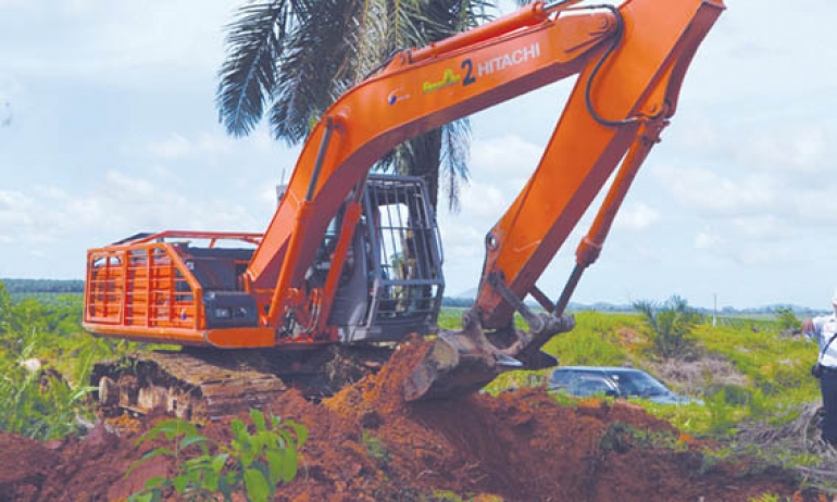 Replanting Perlu Segera Dilakukan Atas Kebun Rakyat