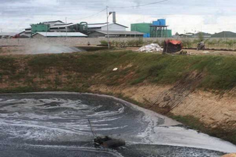 Banyak Perusahaan Belum Penuhi Syarat ISPO